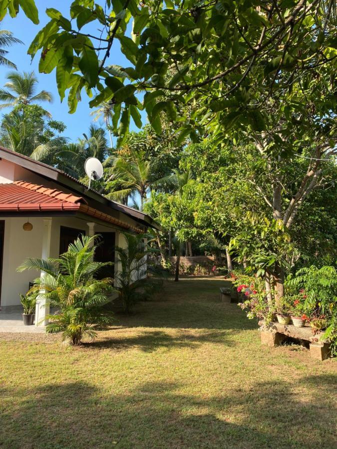 Mango Villa Hikkaduwa Dış mekan fotoğraf